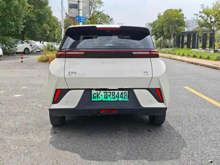 BYD Seagull 2025 Model Smart Driving Edition 305KM Free Edition – фото 5