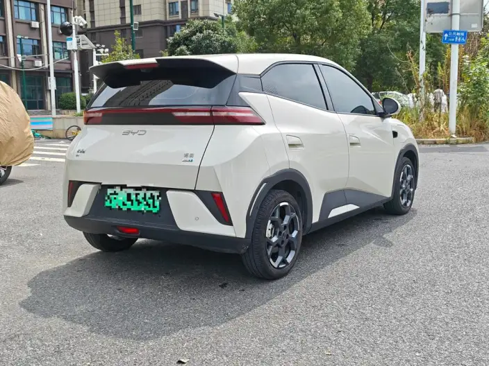 BYD Seagull 2025 Model Smart Driving Edition 305KM Free Edition – фото 6