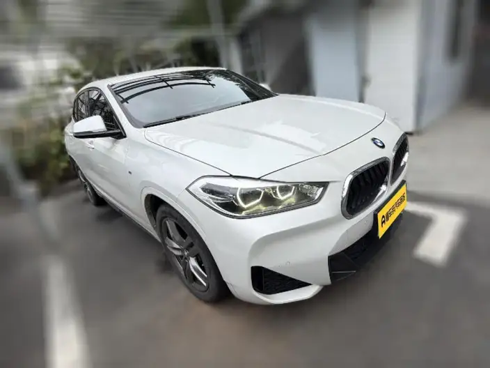 BMW X2 2021 Model sDrive25i Leading Model M Sports Set – фото 3