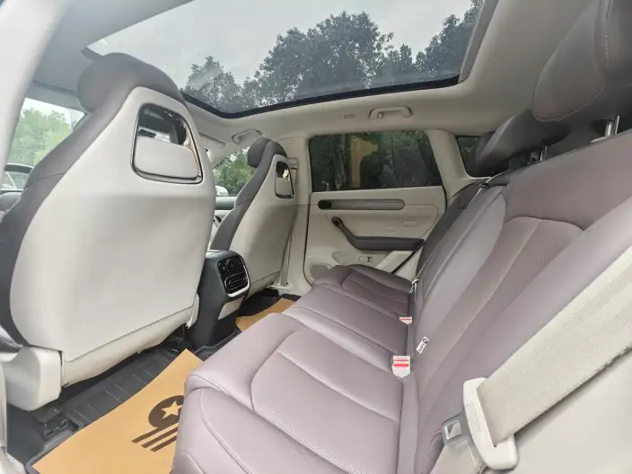Leapmotor C11 2024 Model EV Edition 515 Smart Edition – фото 9