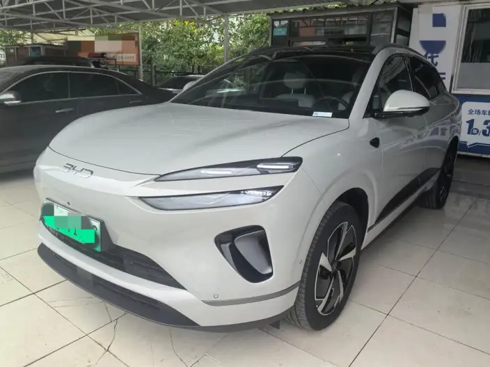 Sea Lion 06DM 2025 Model DM-i 205KM Pilot Pro Edition – фото 1