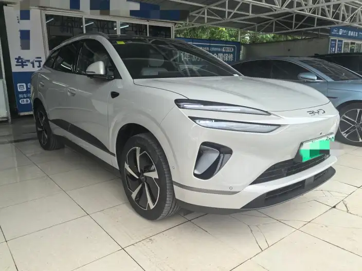 Sea Lion 06DM 2025 Model DM-i 205KM Pilot Pro Edition – фото 3