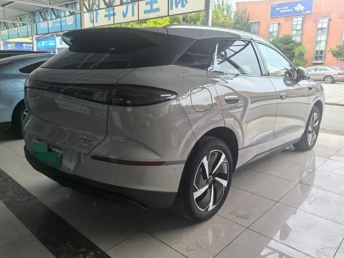Sea Lion 06DM 2025 Model DM-i 205KM Pilot Pro Edition – фото 4