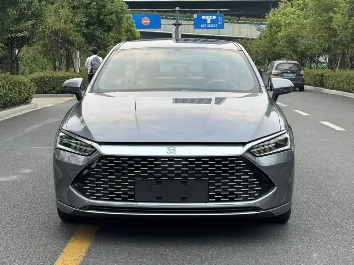 BYD Qin PLUS DM 2021 Model DM-i 55KM Flagship Model – фото 2