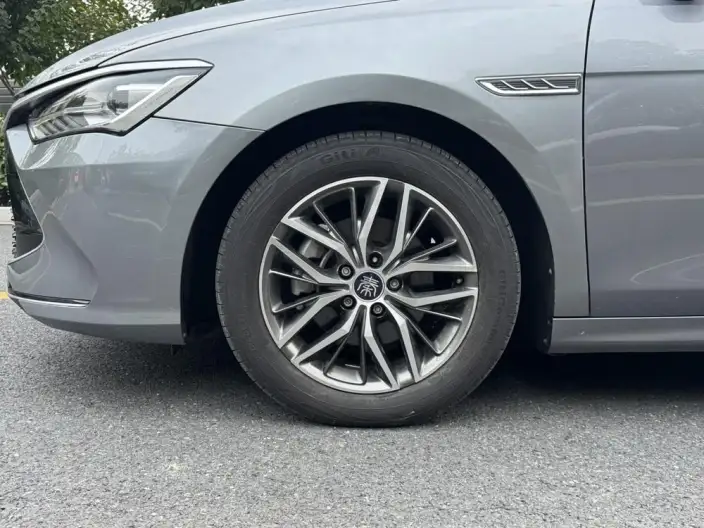 BYD Qin PLUS DM 2021 Model DM-i 55KM Flagship Model – фото 8