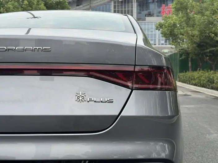 BYD Qin PLUS DM 2021 Model DM-i 55KM Flagship Model – фото 9