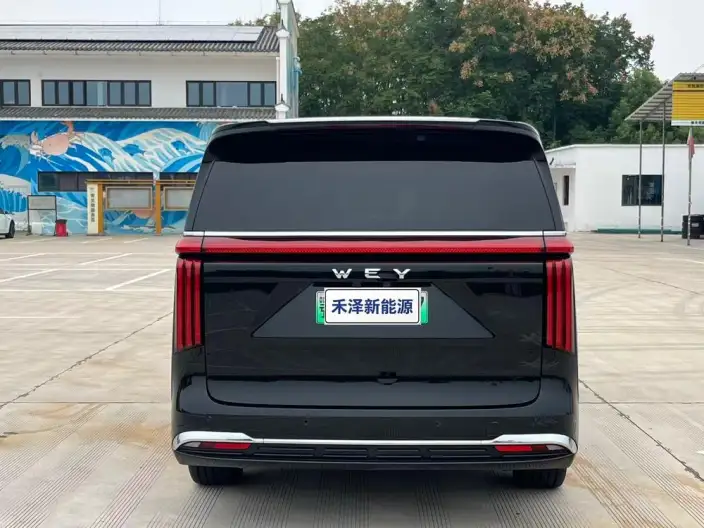 Wey Gaoshan P HEV 2025 Model 4WD Wey Gaoshan 8 – фото 5