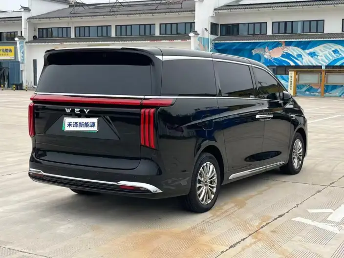 Wey Gaoshan P HEV 2025 Model 4WD Wey Gaoshan 8 – фото 6