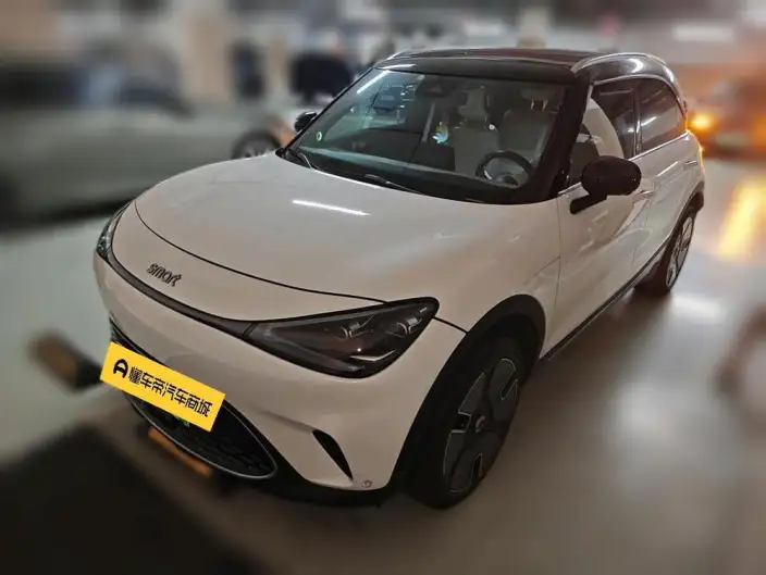 smart #1 2022 Model Premium
