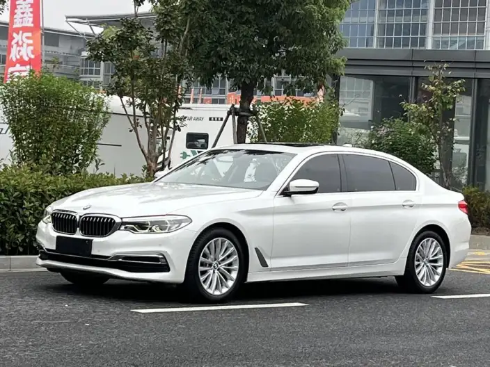 BMW 5 Series 2020 Model 530Li Leading Model Luxury Set – фото 1