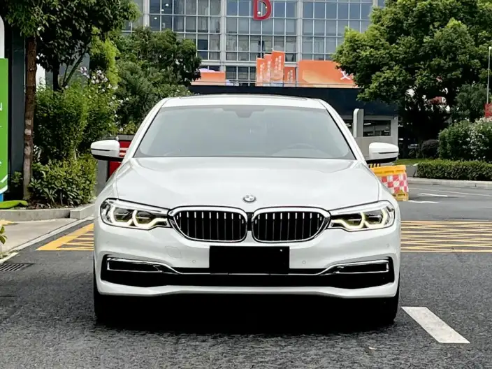 BMW 5 Series 2020 Model 530Li Leading Model Luxury Set – фото 2