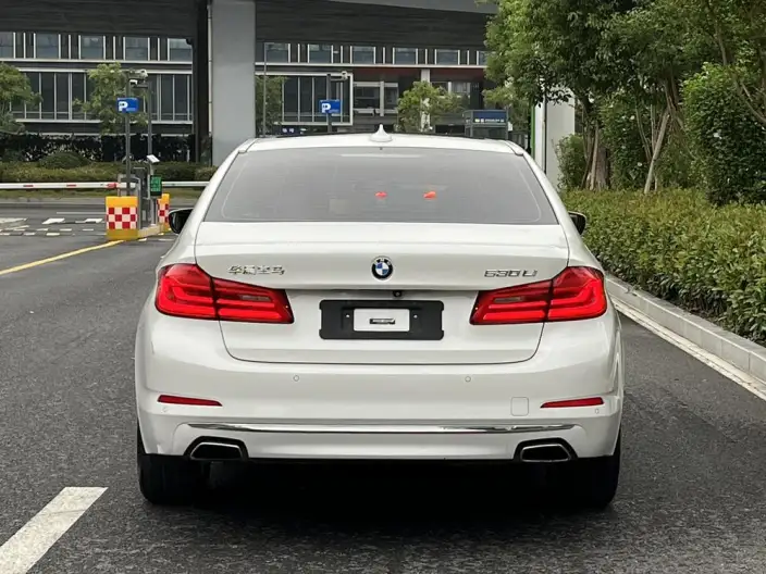 BMW 5 Series 2020 Model 530Li Leading Model Luxury Set – фото 5