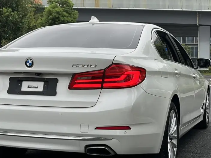 BMW 5 Series 2020 Model 530Li Leading Model Luxury Set – фото 6