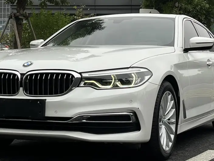 BMW 5 Series 2020 Model 530Li Leading Model Luxury Set – фото 7