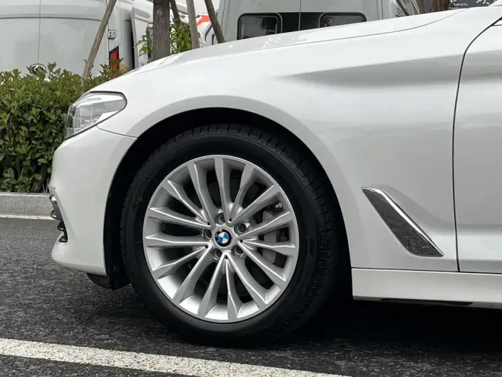BMW 5 Series 2020 Model 530Li Leading Model Luxury Set – фото 8