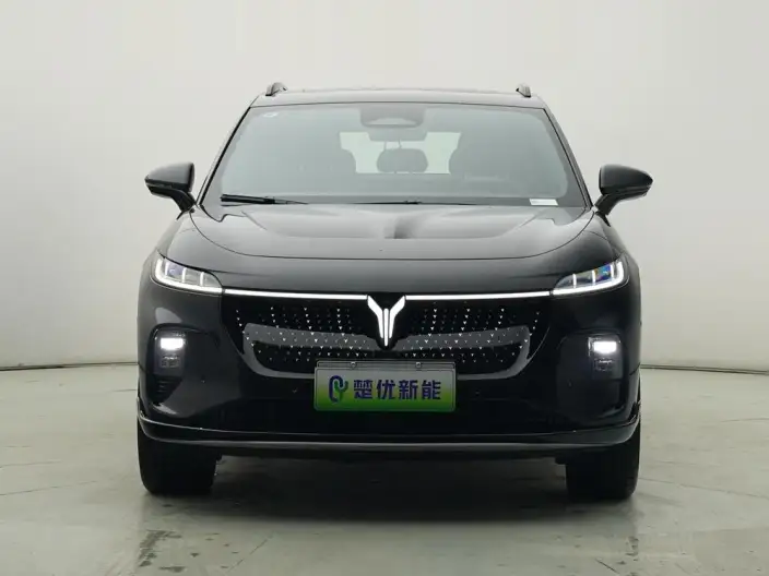 VOYAH Zhiyin 2024 Model 4WD Global Edition – фото 2