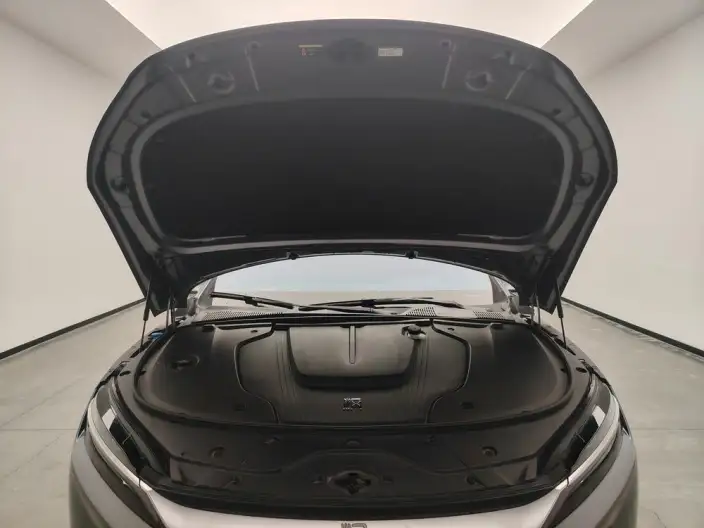 BYD Han EV 2021 Model Standard battery life version Luxury Model – фото 10