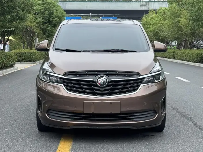 Buick GL8 2020 Model Business class 652T Noble Model – фото 2
