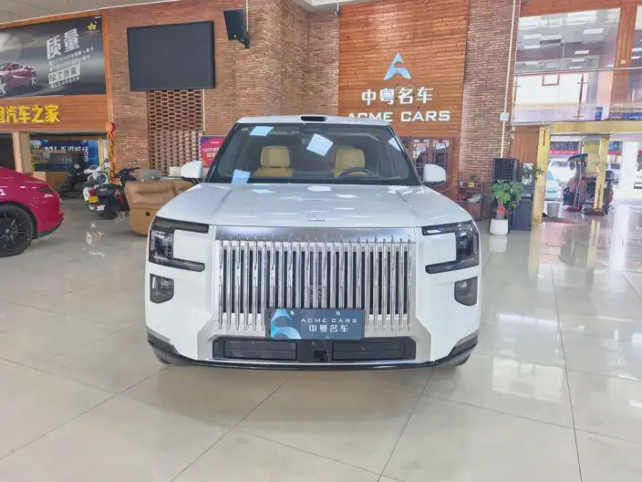 ZEEKR 9X 2025 Model Hyper Edition 70kWh VI seat – фото 2