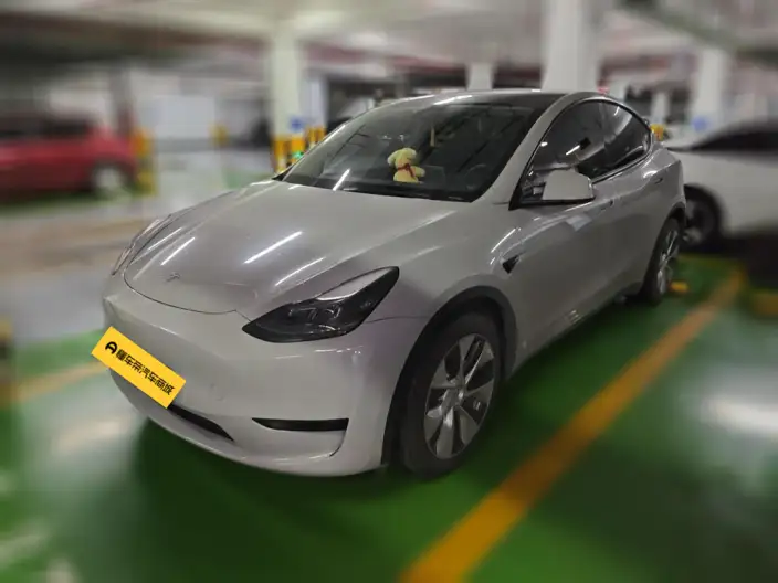 Model Y 2022 Model Rear-wheel drive version – фото 1