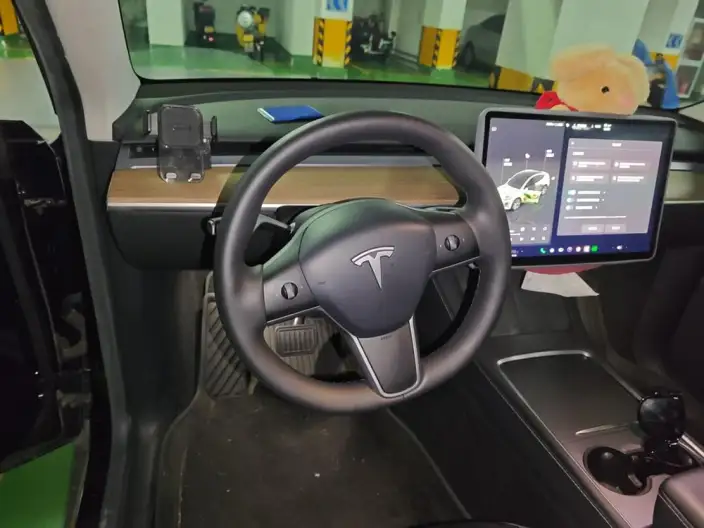 Model Y 2022 Model Rear-wheel drive version – фото 5
