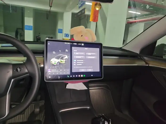 Model Y 2022 Model Rear-wheel drive version – фото 7
