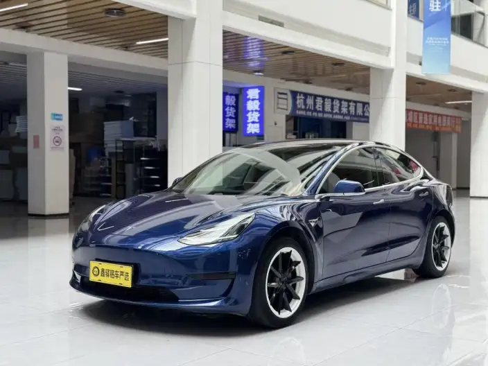 Model 3 2020 Model Standard Battery Life Rear Drive L Class Edition – фото 1
