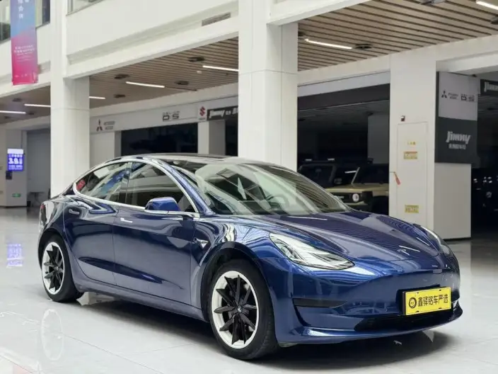 Model 3 2020 Model Standard Battery Life Rear Drive L Class Edition – фото 3
