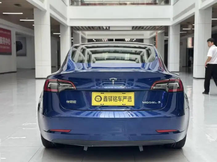 Model 3 2020 Model Standard Battery Life Rear Drive L Class Edition – фото 6
