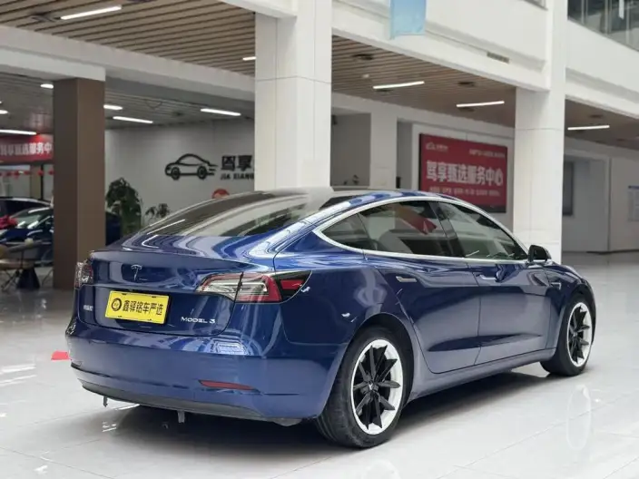 Model 3 2020 Model Standard Battery Life Rear Drive L Class Edition – фото 7