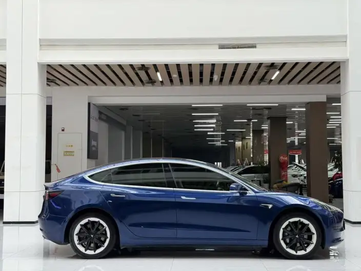 Model 3 2020 Model Standard Battery Life Rear Drive L Class Edition – фото 8