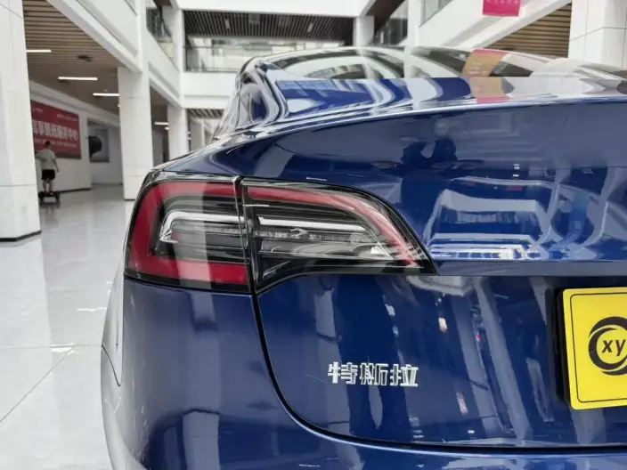 Model 3 2020 Model Standard Battery Life Rear Drive L Class Edition – фото 9
