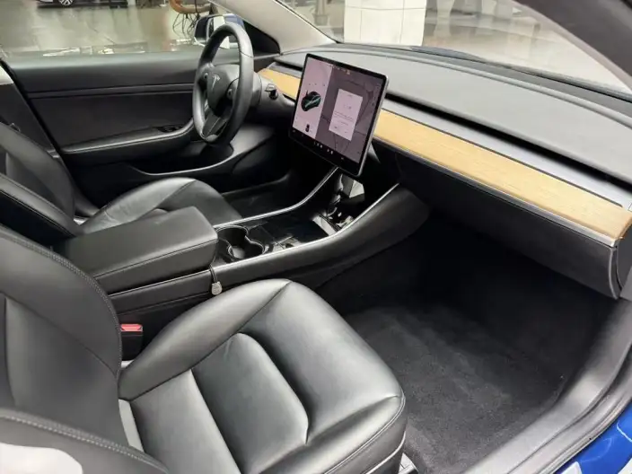 Model 3 2020 Model Standard Battery Life Rear Drive L Class Edition – фото 10