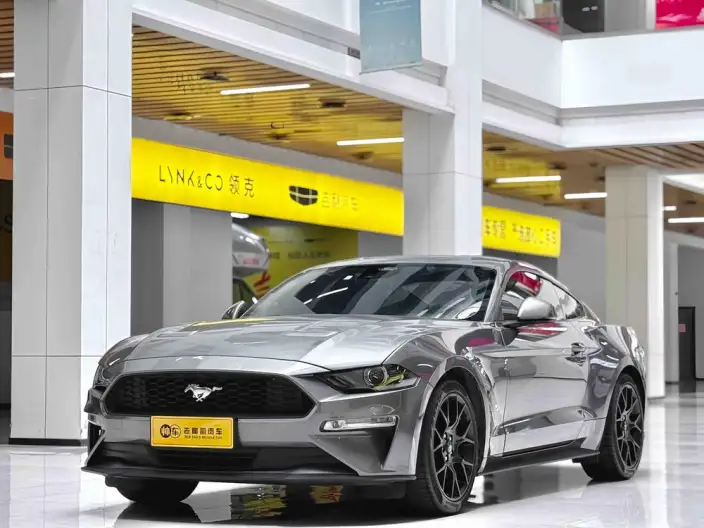 Mustang 2021 Model 2.3T EcoBoost – фото 10