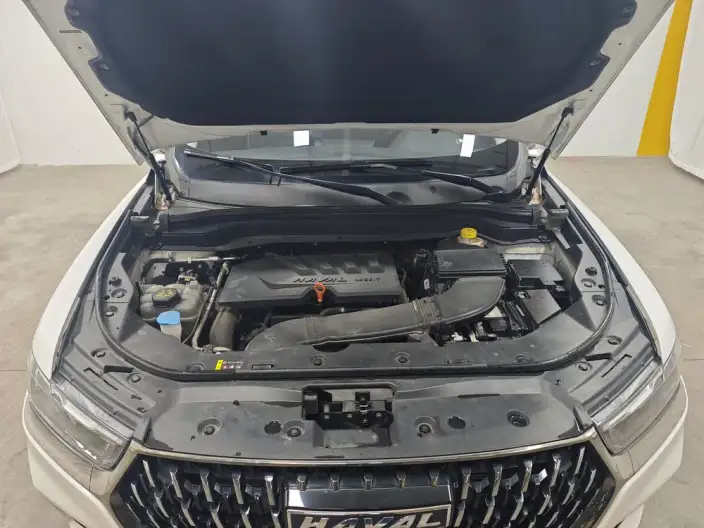 Haval H6 2021 Model Guo Trendy Edition 1.5GDIT Automatic Champion Edition – фото 10
