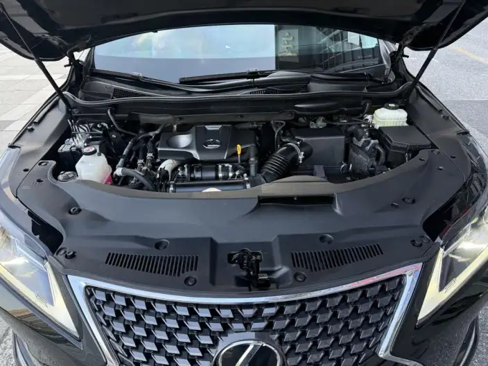 Lexus RX 2020 Model Facelift 300 2WD Elite Edition – фото 7