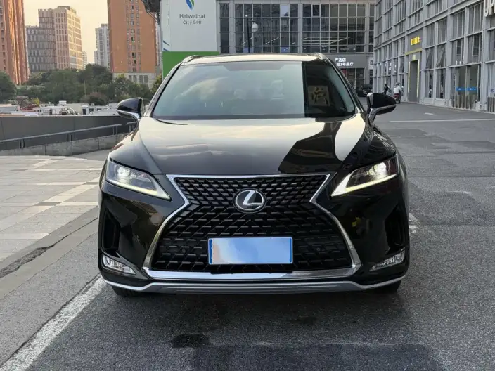 Lexus RX 2020 Model Facelift 300 2WD Elite Edition – фото 10