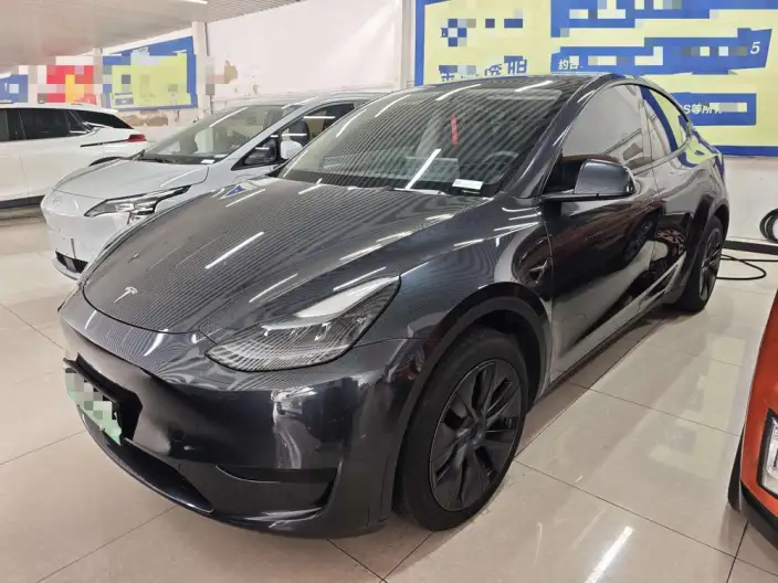 Model Y 2024 Model Rear-wheel drive version – фото 1