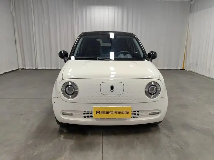 ORA Black Cat 2021 Model 351km Luxury Model – фото 2
