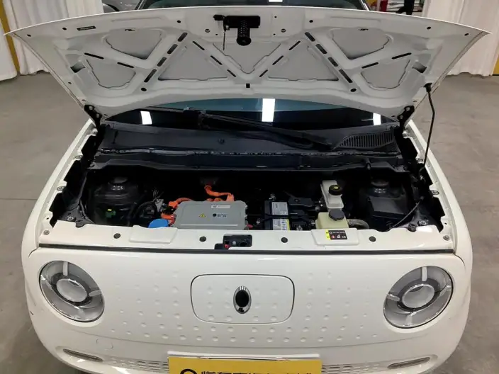 ORA Black Cat 2021 Model 351km Luxury Model – фото 10