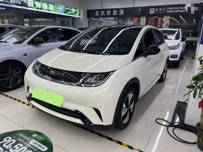 BYD Dolphin 2023 Model Fashion Edition – фото 1