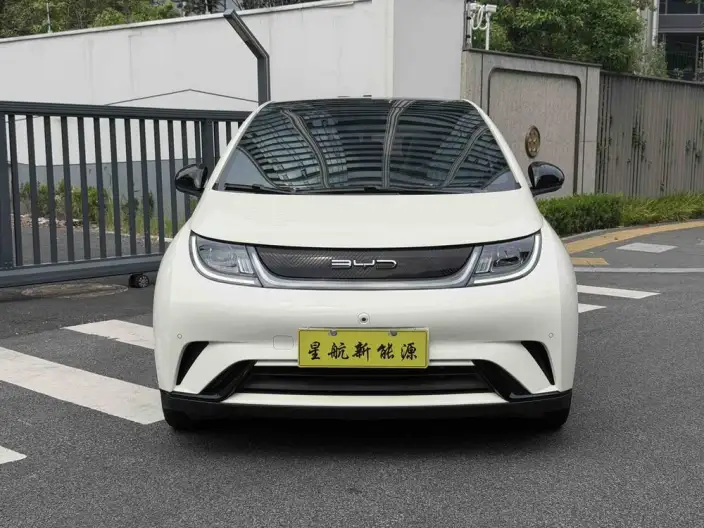 BYD Dolphin 2023 Model Fashion Edition – фото 2