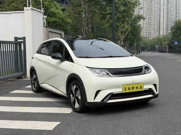 BYD Dolphin 2023 Model Fashion Edition – фото 3