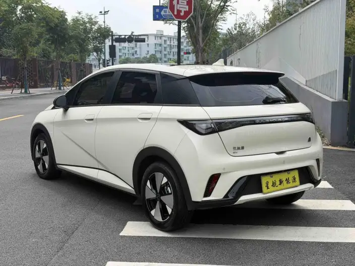 BYD Dolphin 2023 Model Fashion Edition – фото 5