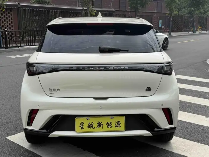 BYD Dolphin 2023 Model Fashion Edition – фото 6