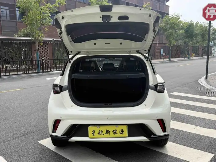 BYD Dolphin 2023 Model Fashion Edition – фото 8