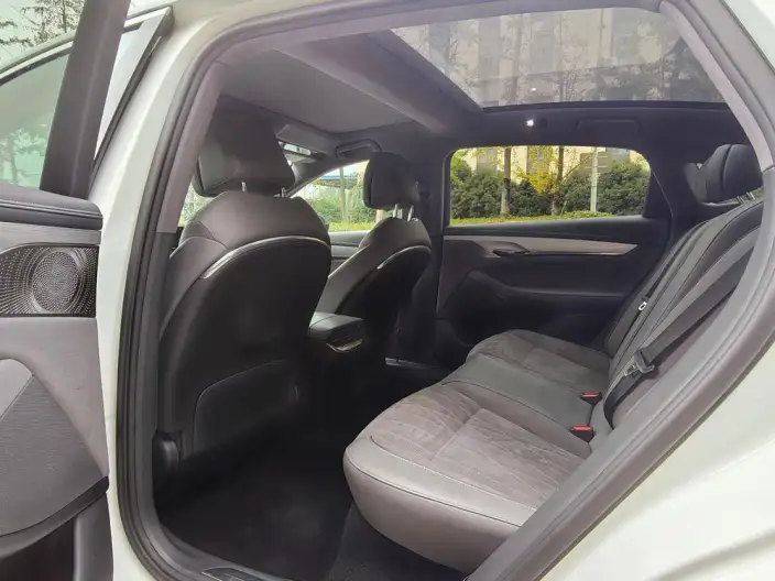 Voyah Pursuit EV 2023 Model 580km Standard Edition – фото 9