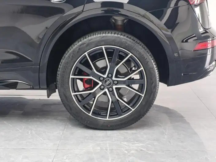 Audi Q5L 2026 Model quattro 45th Anniversary Collector Edition Edition 45TFSI Luxury Dynamic Model – фото 9