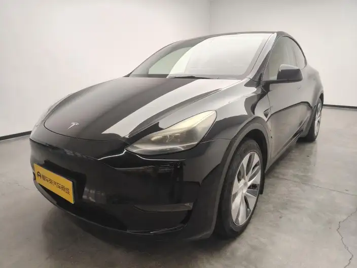 Model Y 2021 Model Standard Battery Life Rear-wheel drive version – фото 1