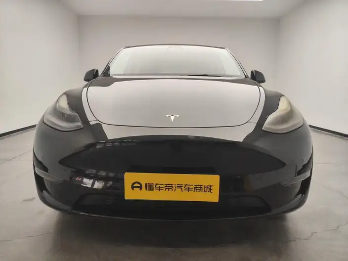 Model Y 2021 Model Standard Battery Life Rear-wheel drive version – фото 2